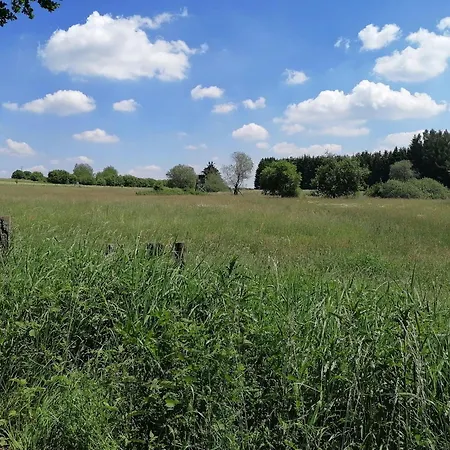 Blockbohlenhaus-steiner-lodge 펜션 Steinen (Westerwaldkreis)