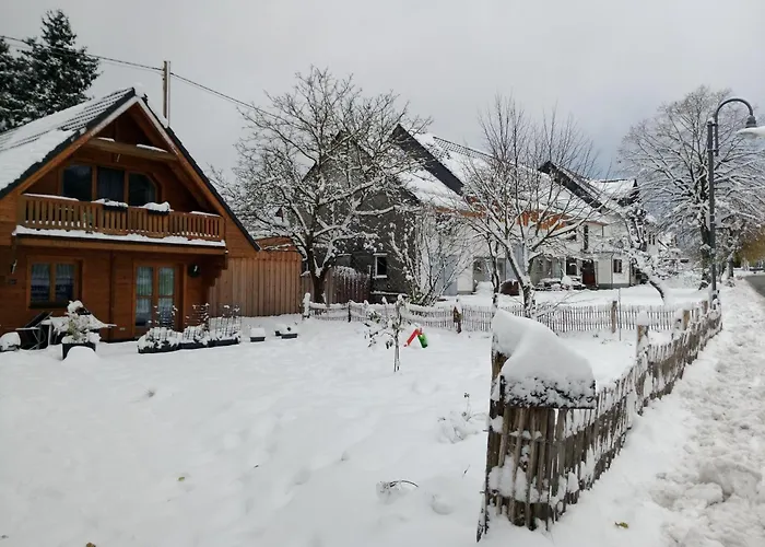 Blockbohlenhaus-steiner-lodge *